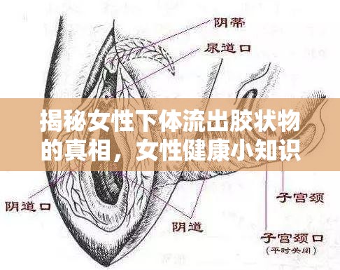 揭秘女性下體流出膠狀物的真相，女性健康小知識(shí)