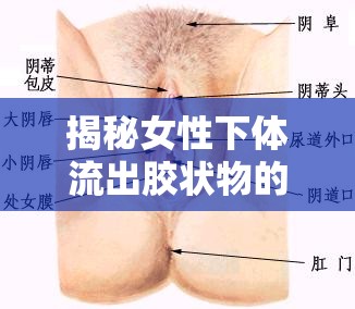 揭秘女性下體流出膠狀物的真相，女性健康小知識(shí)