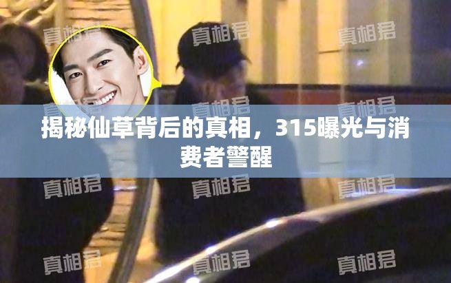 揭秘仙草背后的真相，315曝光與消費(fèi)者警醒