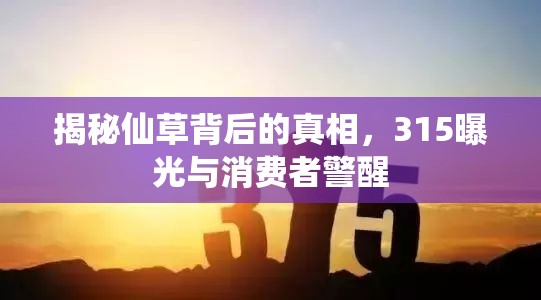 揭秘仙草背后的真相，315曝光與消費(fèi)者警醒