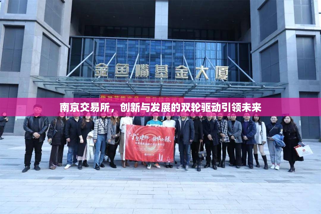 南京交易所，創(chuàng)新與發(fā)展的雙輪驅(qū)動(dòng)引領(lǐng)未來(lái)