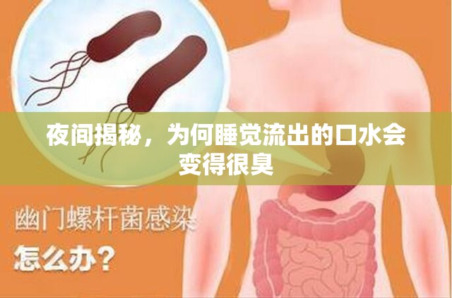 夜間揭秘，為何睡覺流出的口水會變得很臭