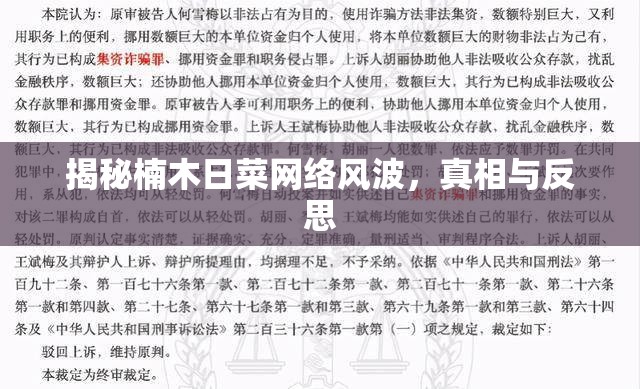 揭秘楠木日菜網(wǎng)絡(luò)風(fēng)波，真相與反思