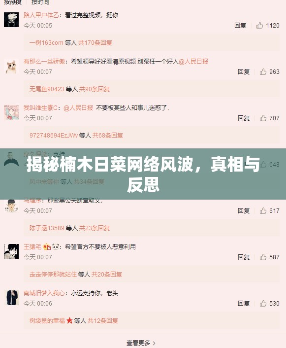 揭秘楠木日菜網(wǎng)絡(luò)風(fēng)波，真相與反思