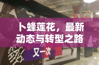 卜蜂蓮花，最新動(dòng)態(tài)與轉(zhuǎn)型之路的深度解析