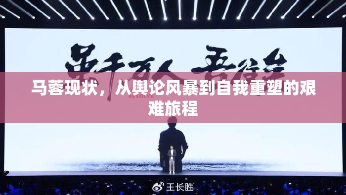 馬蓉現(xiàn)狀，從輿論風暴到自我重塑的艱難旅程