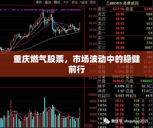 重慶燃?xì)夤善?，市?chǎng)波動(dòng)中的穩(wěn)健前行
