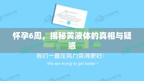 懷孕6周，揭秘黃液體的真相與疑惑