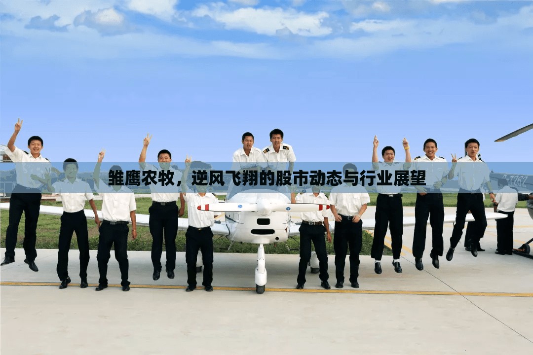雛鷹農(nóng)牧，逆風(fēng)飛翔的股市動(dòng)態(tài)與行業(yè)展望