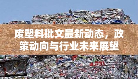 廢塑料批文最新動態(tài)，政策動向與行業(yè)未來展望