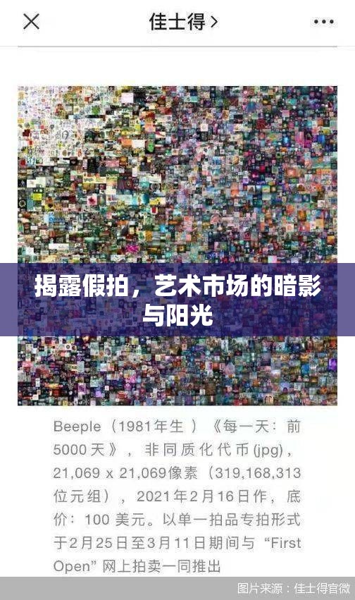 揭露假拍，藝術(shù)市場的暗影與陽光