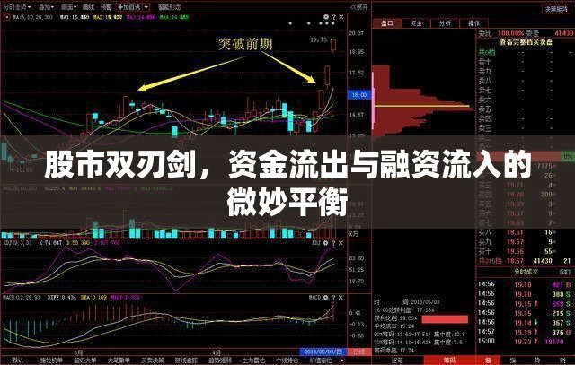 股市雙刃劍，資金流出與融資流入的微妙平衡