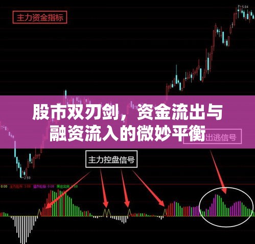 股市雙刃劍，資金流出與融資流入的微妙平衡