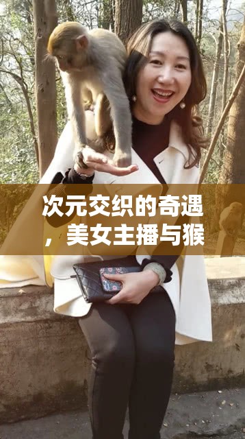 次元交織的奇遇，美女主播與猴哥的意外邂逅