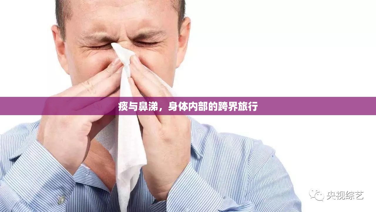 痰與鼻涕，身體內(nèi)部的跨界旅行