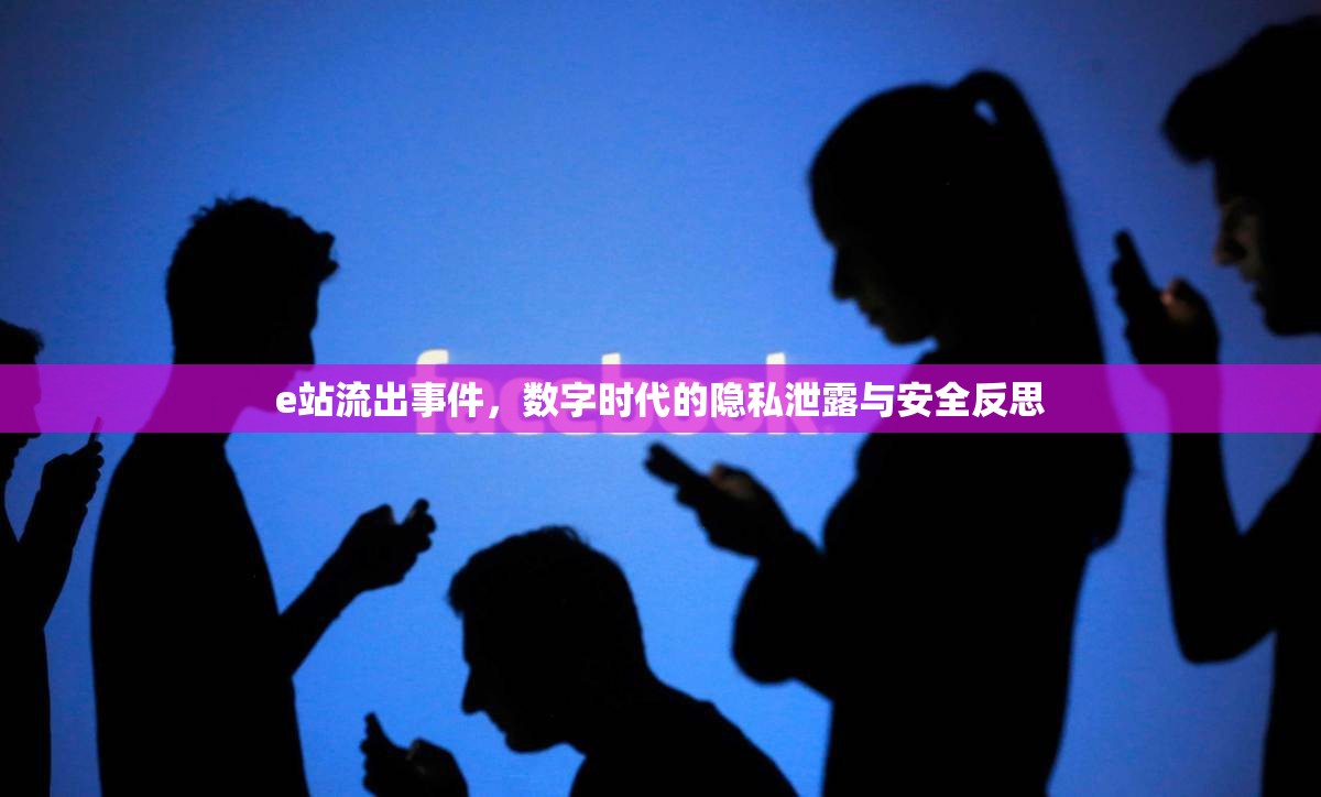 e站流出事件，數(shù)字時(shí)代的隱私泄露與安全反思