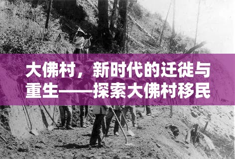 大佛村，新時代的遷徙與重生——探索大佛村移民的最新動態(tài)