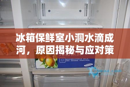 冰箱保鮮室小洞水滴成河，原因揭秘與應(yīng)對(duì)策略