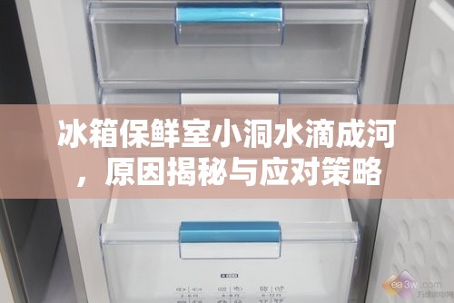 冰箱保鮮室小洞水滴成河，原因揭秘與應(yīng)對(duì)策略