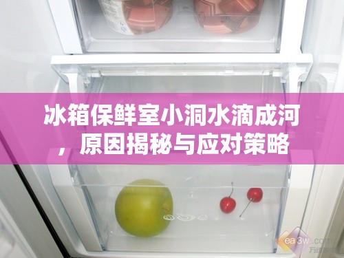 冰箱保鮮室小洞水滴成河，原因揭秘與應(yīng)對(duì)策略
