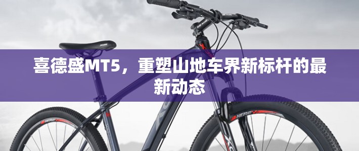喜德盛MT5，重塑山地車界新標桿的最新動態(tài)
