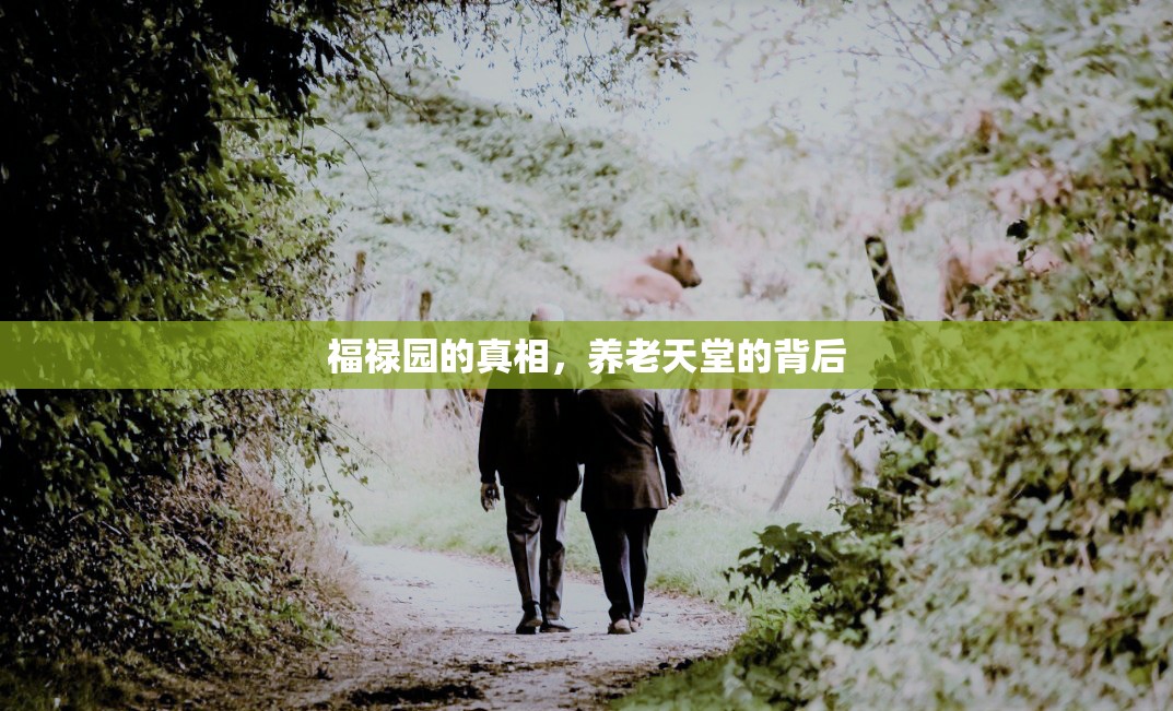 福祿園的真相，養(yǎng)老天堂的背后