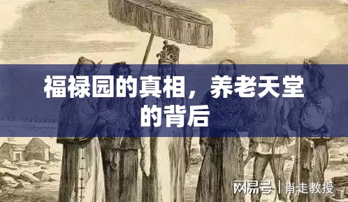 福祿園的真相，養(yǎng)老天堂的背后
