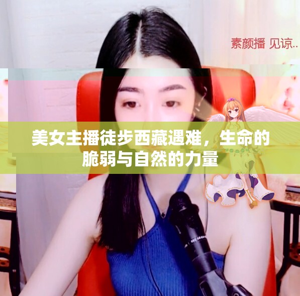 美女主播徒步西藏遇難，生命的脆弱與自然的力量
