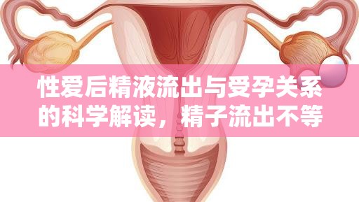 性愛(ài)后精液流出與受孕關(guān)系的科學(xué)解讀，精子流出不等于懷孕難