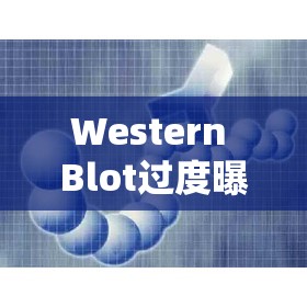 Western Blot過(guò)度曝光的奧秘，從原理到實(shí)踐的全面解析