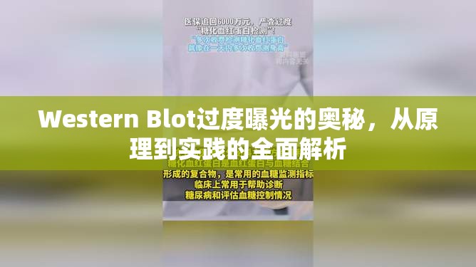 Western Blot過(guò)度曝光的奧秘，從原理到實(shí)踐的全面解析
