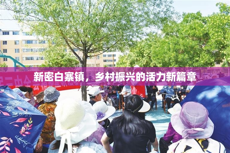 新密白寨鎮(zhèn)，鄉(xiāng)村振興的活力新篇章