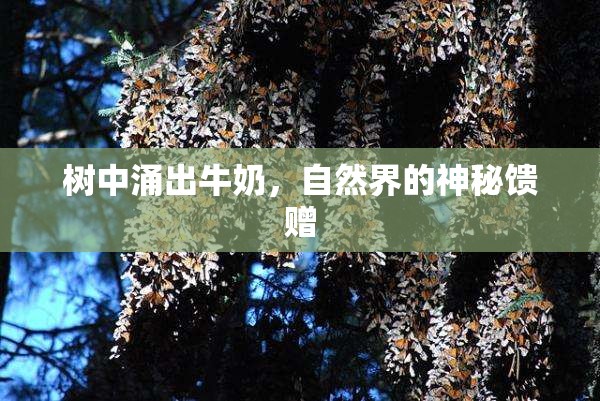 樹中涌出牛奶，自然界的神秘饋贈