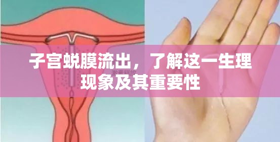子宮蛻膜流出，了解這一生理現(xiàn)象及其重要性