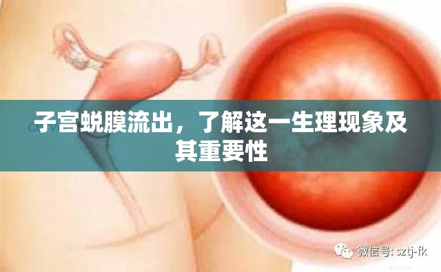 子宮蛻膜流出，了解這一生理現(xiàn)象及其重要性