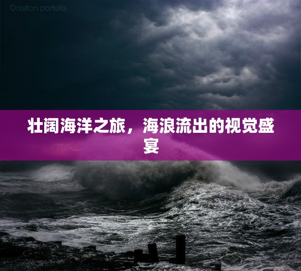 壯闊海洋之旅，海浪流出的視覺盛宴