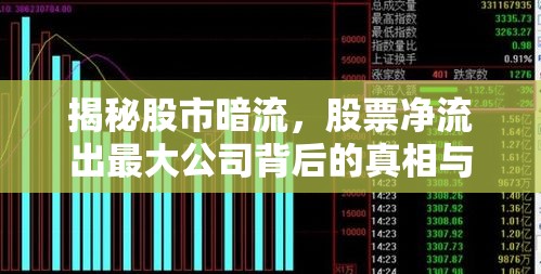 揭秘股市暗流，股票凈流出最大公司背后的真相與影響