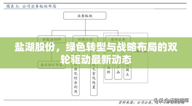 鹽湖股份，綠色轉(zhuǎn)型與戰(zhàn)略布局的雙輪驅(qū)動最新動態(tài)