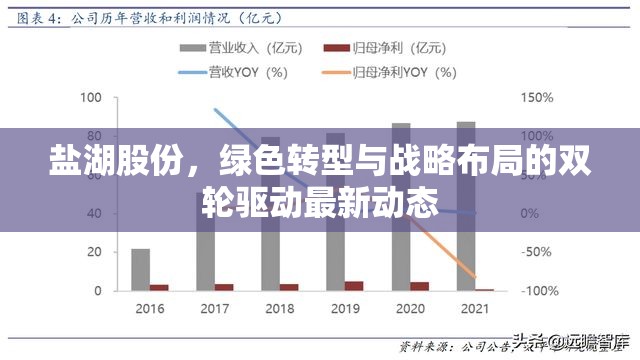 鹽湖股份，綠色轉(zhuǎn)型與戰(zhàn)略布局的雙輪驅(qū)動最新動態(tài)