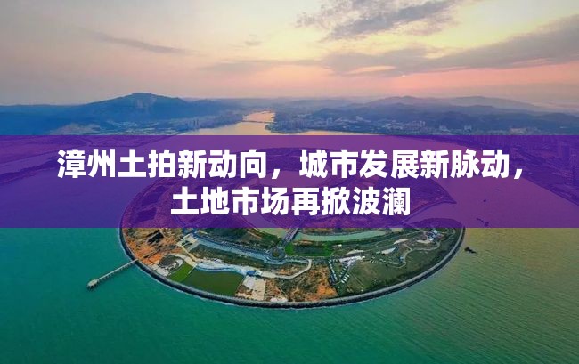 漳州土拍新動向，城市發(fā)展新脈動，土地市場再掀波瀾