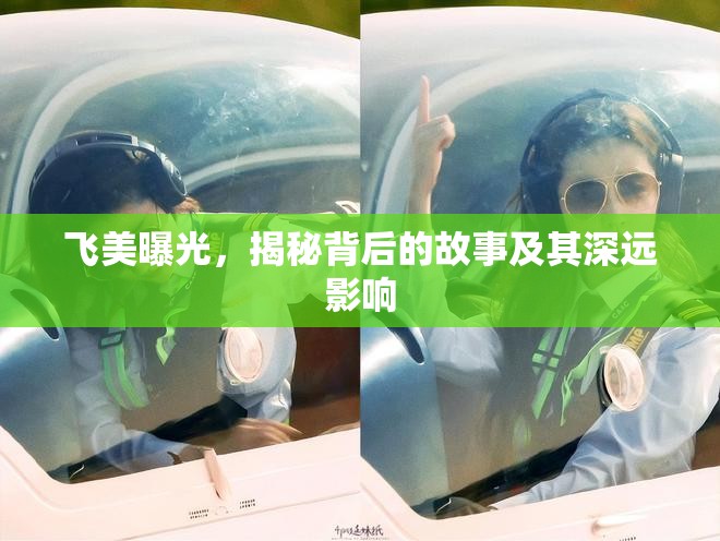 飛美曝光，揭秘背后的故事及其深遠影響