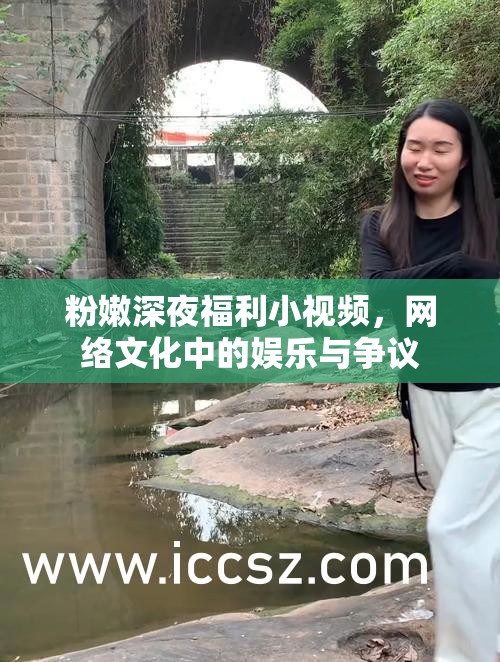 粉嫩深夜福利小視頻，網絡文化中的娛樂與爭議