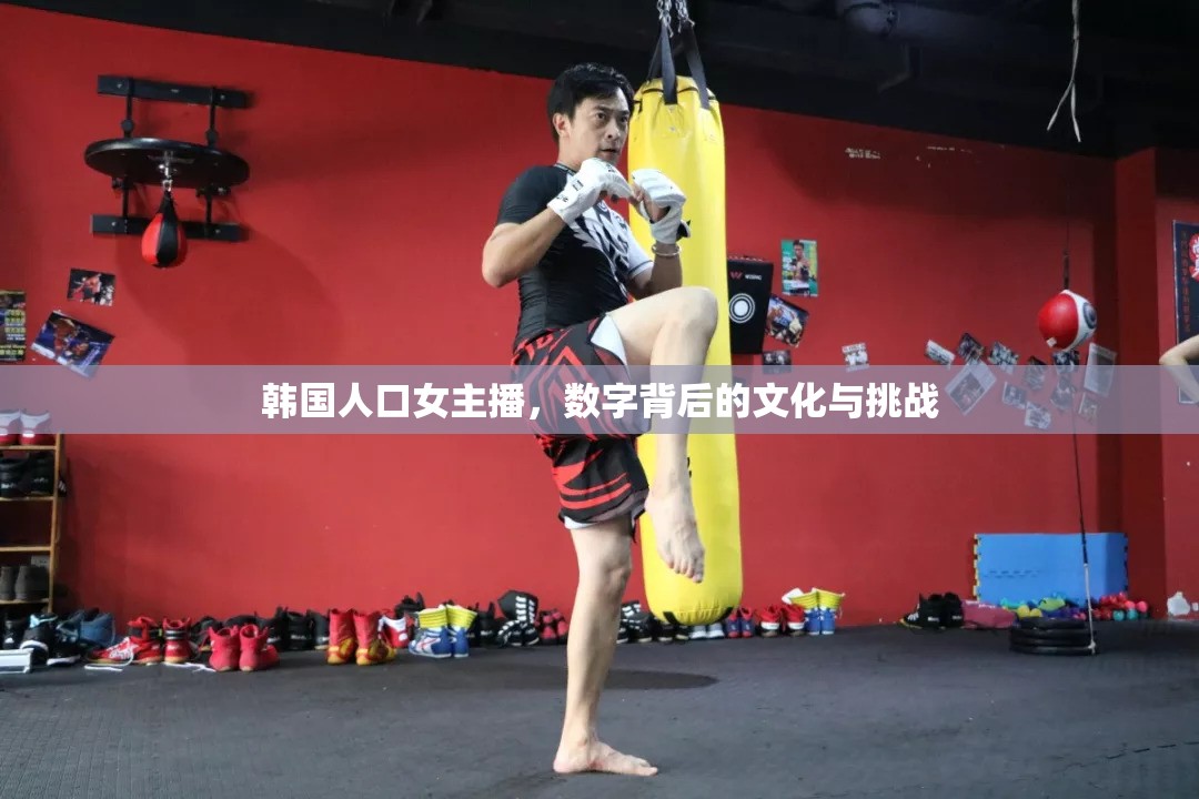 韓國人口女主播，數(shù)字背后的文化與挑戰(zhàn)