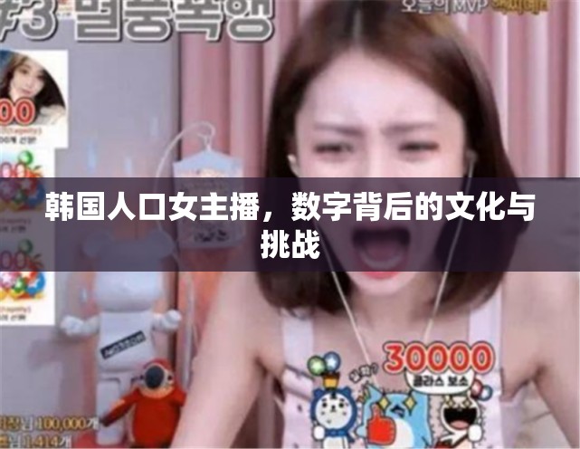 韓國人口女主播，數(shù)字背后的文化與挑戰(zhàn)