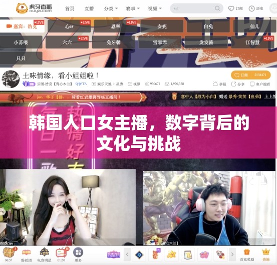 韓國人口女主播，數(shù)字背后的文化與挑戰(zhàn)