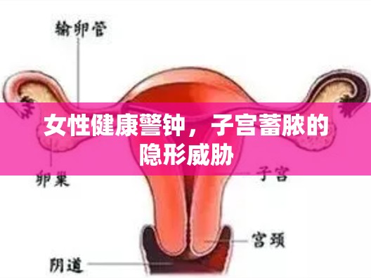 女性健康警鐘，子宮蓄膿的隱形威脅