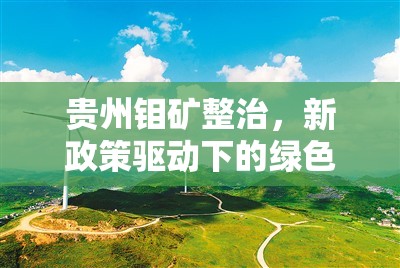 貴州鉬礦整治，新政策驅動下的綠色轉型與可持續(xù)發(fā)展探索