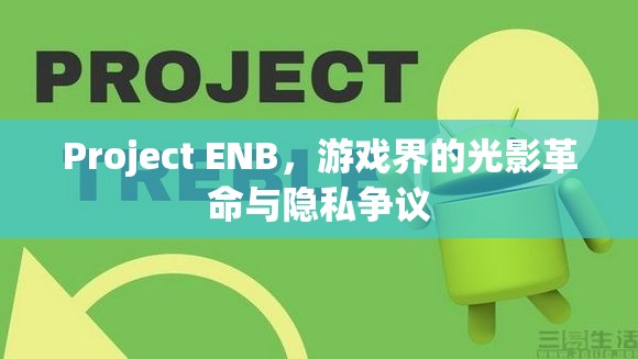 Project ENB，游戲界的光影革命與隱私爭議