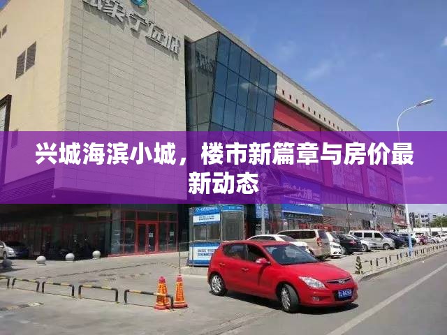 興城海濱小城，樓市新篇章與房?jī)r(jià)最新動(dòng)態(tài)