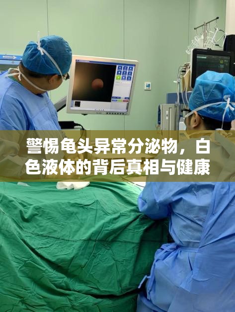 警惕龜頭異常分泌物，白色液體的背后真相與健康警示